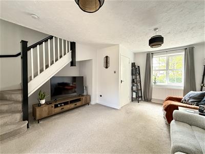 Picture 7